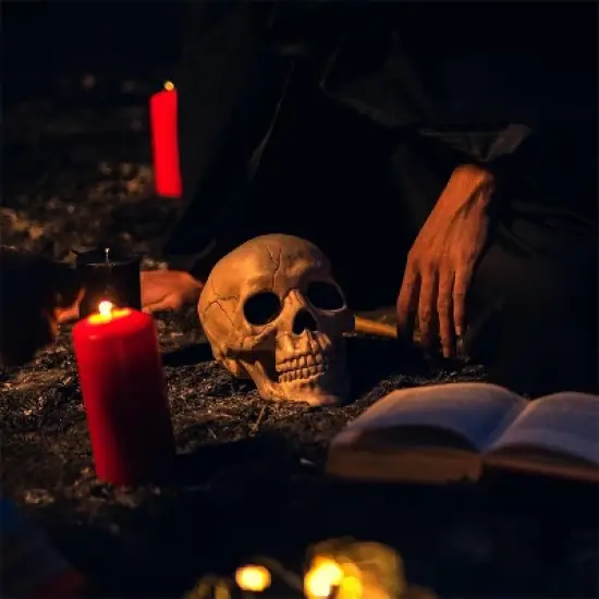 Joyfy Halloween Skeleton Decorations 7.5" Plastic Skull Human Head Bone Indoor Outdoor Decor Spooky Scene Party Favors Haunted House Graveyard Props image {4}