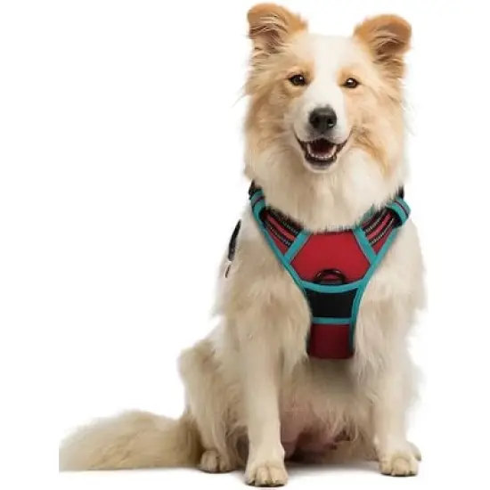 rabbitgoo Dog Harness No Pull with 2 Leash Clips, Control Handle for Medium Sized Dogs, Red & Teal, M image {1}