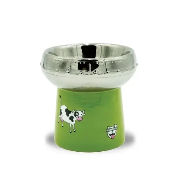BigMouth Inc. UFO Elevated Cat and Dog Bowl image {2}