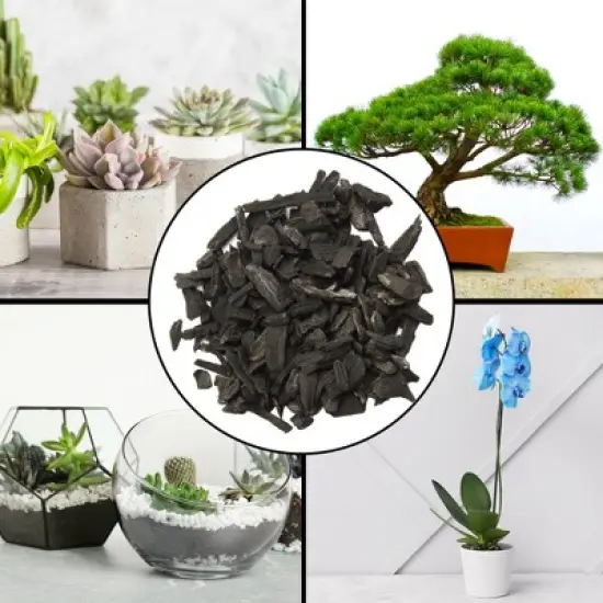 Soil Sunrise Horticultural Charcoal for Indoor Plants, Hardwood Soil Additive for Orchids, Terrariums, and Gardening image {5}