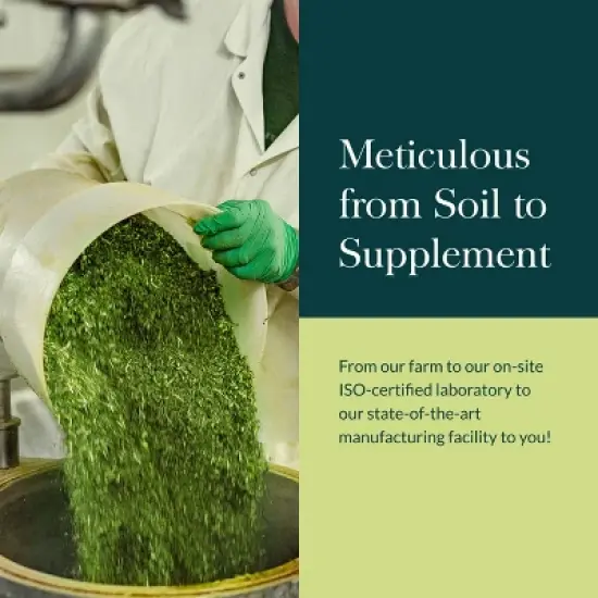 Gaia Herbs Rhodiola Rosea - Stress Support Supplement Traditionally for Supporting Healthy Stamina and Endurance - 120 Vegan Liquid Phyto-Capsules image {7}