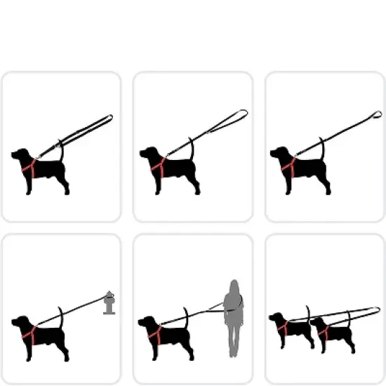 DDOXX 6.6 ft 3-Way Adjustable Airmesh Medium Dog Leash - Red image {3}