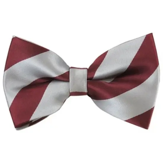 Men's 2.75 W And 4.75 L Inch With Pre-Tied College Stripe Bowtie image {25}