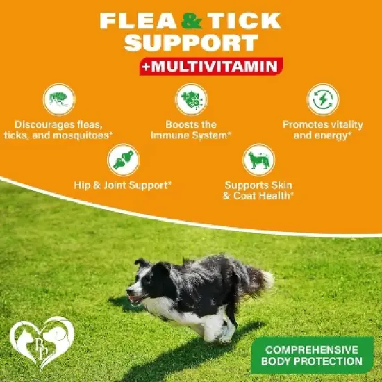 Beloved Pets Flea & Tick Support + Complex Multivitamin Soft Chews for Skin & Coat Supplement for Dogs, 10 Oz - 1 Pack image {1}