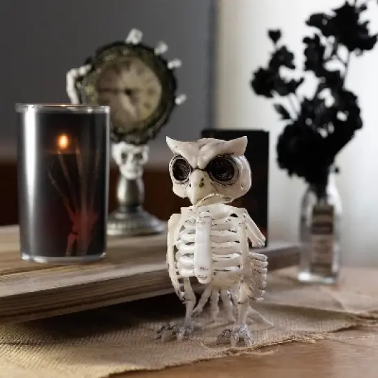 Owl Skeleton Halloween Decoration (2 Pack) - 6.5" Long - Indoor/Outdoor - Upgrade Your Fall Graveyard Haunted House Party Props, Trick-or-Treat Decor image {1}