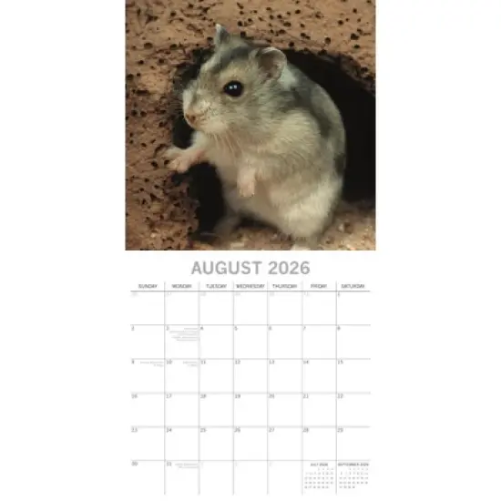 2026 Square Wall Calendar, Hamsters, 16-Month Animals Theme with 180 Reminder Stickers (12x12 In) image {2}
