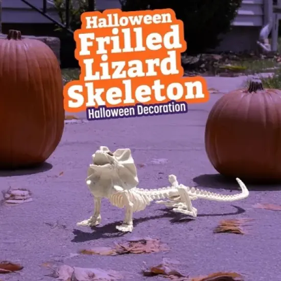 Frilled Lizard Skeleton Halloween Decoration- Weather Resistant for Indoor/Outdoor Decor- Perfect for Tabletop Party Decor, Haunted Houses, Graveyards image {4}