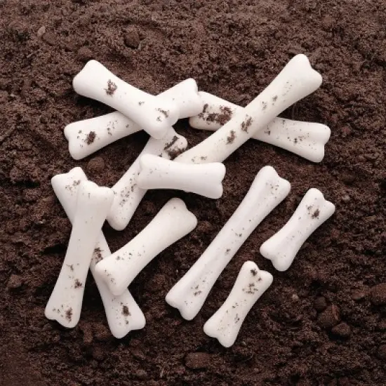 Yellow Door Dinosaur Bones Discovery Set image {2}