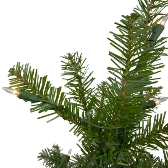 Northlight 10' Prelit Artificial Christmas Tree Full Northern Pine - Clear Lights image {3}