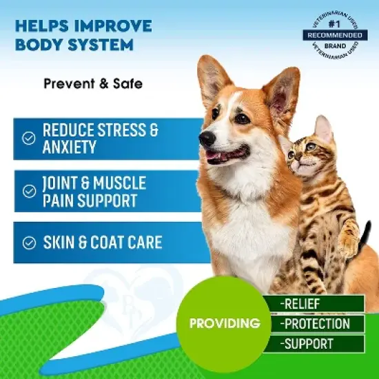 Beloved Pets Cat and Dog Hemp Oil Calming Support Stress Relief, Hip Joint Mobility 2 Oz - 1 Pack image {5}