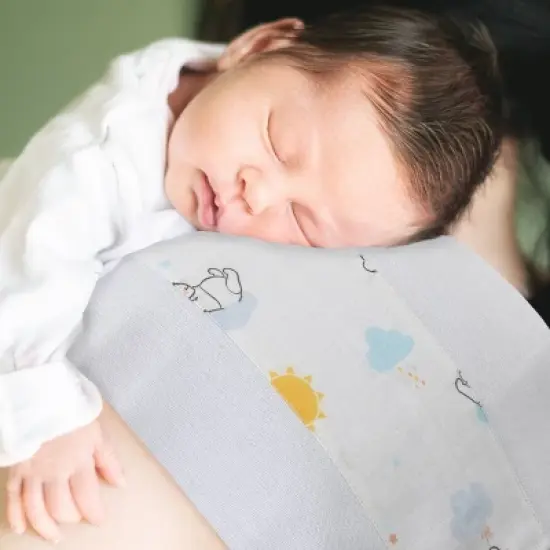 Disney Winnie The Pooh 100% Cotton Muslin Burp Cloths - 2pk image {3}