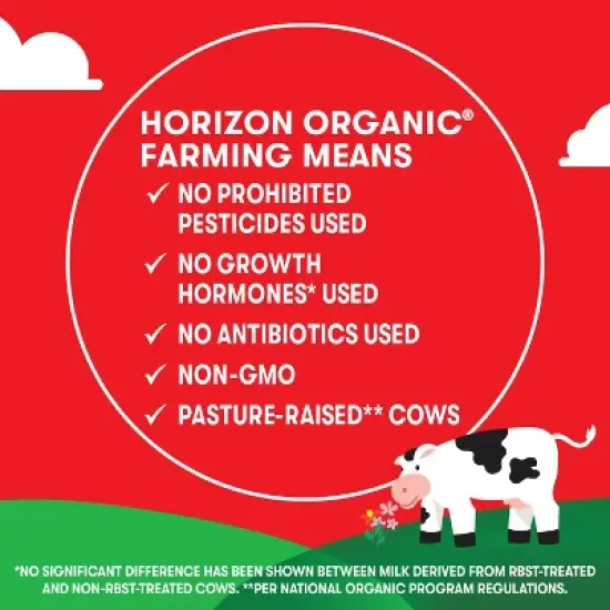 Horizon Organic 1% Chocolate Milk DHA Added - 6pk/8 fl oz Boxes image {6}