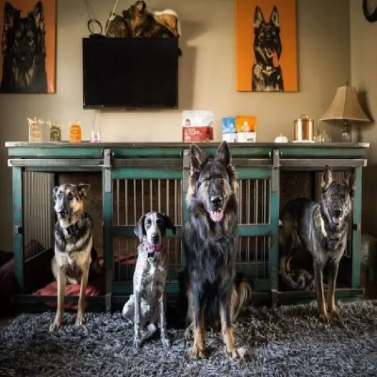 Amici Pet Copper Spaniel Treats Canister Decorative Hand Made Hammered Finish Metal Storage Container image {3}