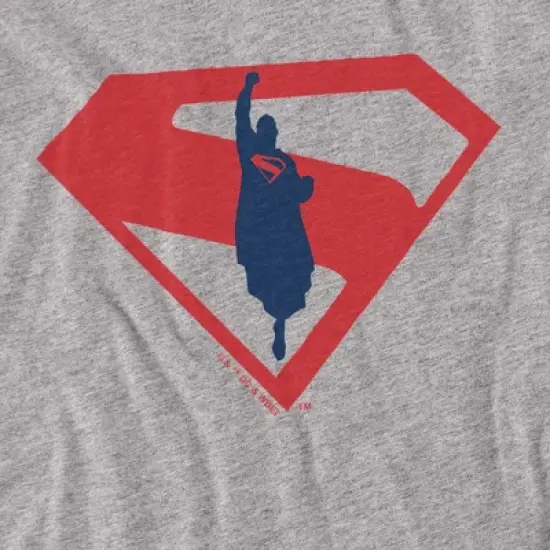 Toddler Boys' Superman 2025 New Logo Flight T Shirt image {1}