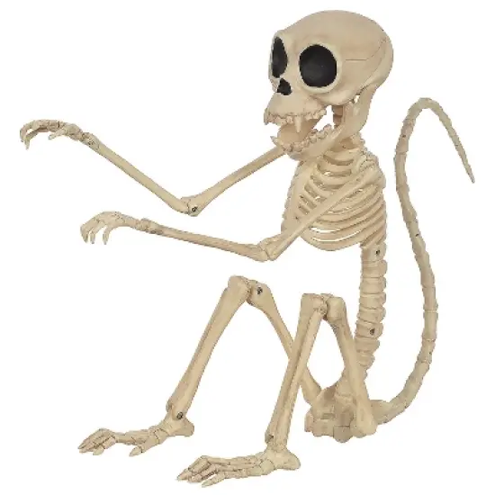 Monkey Skeleton image {1}