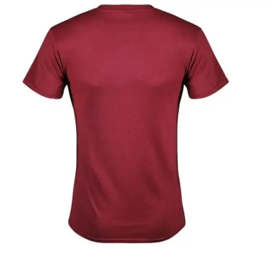 Men's Harry Potter Gryffindor Quidditch Gold Team Seeker T-Shirt image {2}