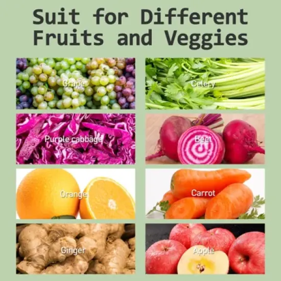 WHALL Cold Press Juicer Machine, Wide Feed Chute, High Juice Yield, Stainless Steel Masticating Juicer image {7}