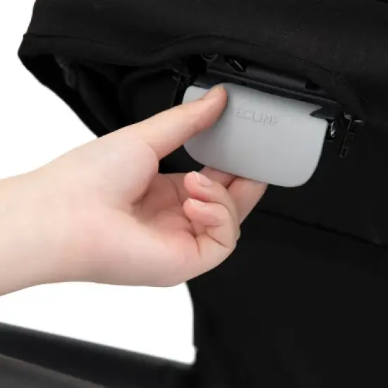 Evenflo Pivot Xpand Travel System with LiteMax image {16}