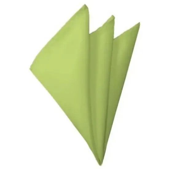 TheDapperTie - Men's Solid Color 10 Inch x 10 Inch Pocket Squares Handkerchief image {49}