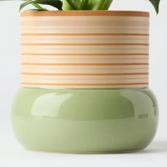 Threshold Green Live Houseplant - Good Little Garden&trade; image {2}