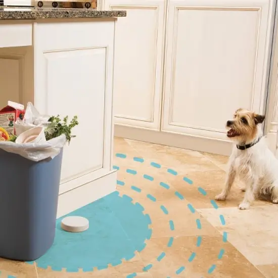 PetSafe Pawz Away Adjustable Pet Barrier Extra Receiver Collar - Beige image {2}