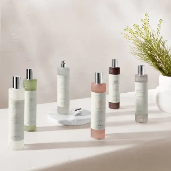 Room Spray Intention 3.38 fl oz - Casaluna&trade; image {1}