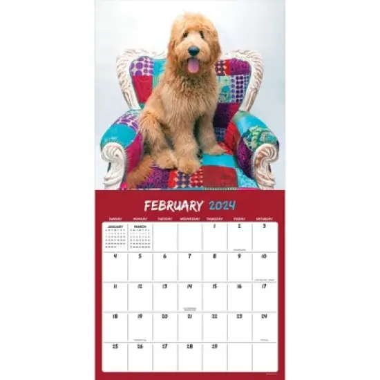 TF Publishing 2024 Wall Calendar 12"x12" Mutts image {1}