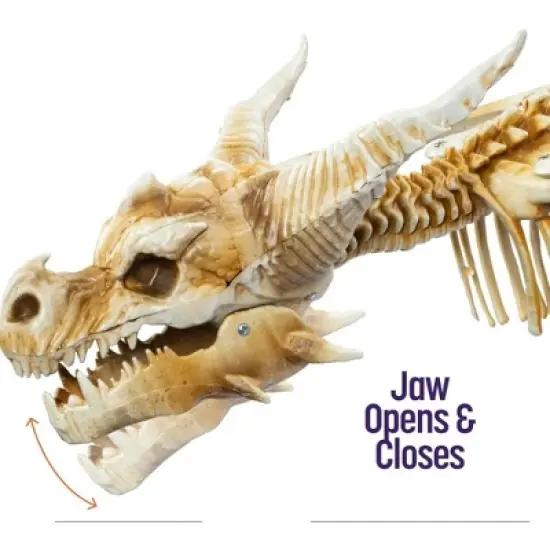 Halloween Dragon Skeleton- Large Indoor/Outdoor Plastic Bones Prop for Decor, Haunted Houses, w Invisible String for Hanging- Movable, Posable Parts image {2}