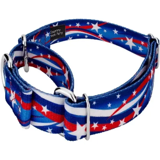 Country Brook Petz - Star Spangled Martingale Dog Collar image {1}