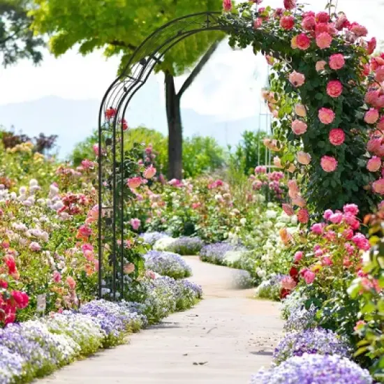 Tangkula 99" Tall Garden Arch Arbor Trellis w/6 Combination Ways & 2 Installation Methods image {1}