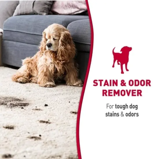 Nature's Miracle Dog Stain and Odor Remover Foam 17.5oz image {2}