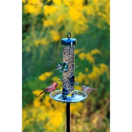 Brome Tube Solution 200 Wild Bird Feeder, 3.4 lb Capacity, Clear image {5}