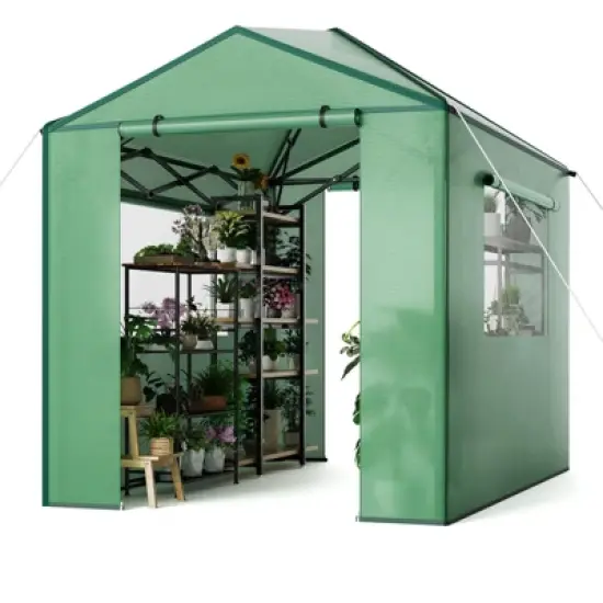 Pop Up Greenhouse,Portable Walk-in Indoor Outdoor Greenhouse for Garden Patio Backyard,Zippered Doors and Window,PE Cover image {1}