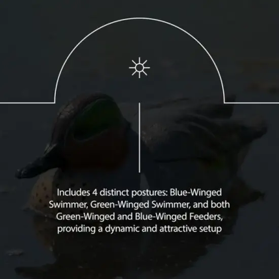 Avian X Topflight Early Season Teal with True to Life Postures and Rugged Design for Hunting Purposes, Outdoor Sports, and Recreation, 18 Pack image {3}