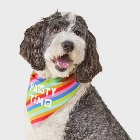 Birthday Reversible Dog Bandana - Boots & Barkley&trade; White One Size Fits Most image {4}