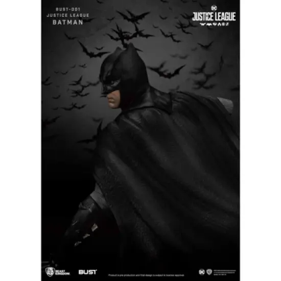 Warner Bros Justice League Series-Batman (Bust) image {5}