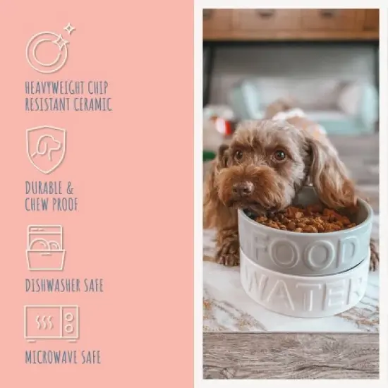Park Life Designs 2c Classic Water and Food Dog Bowl - White image {7}
