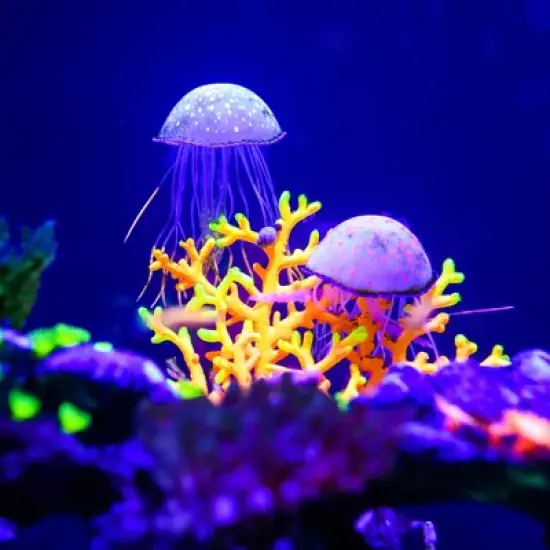 Unique Bargains Silicone Fluorescent Jellyfish Glow Aquarium Decor Ornaments with Suction Cup  2.6"x4.5" image {5}