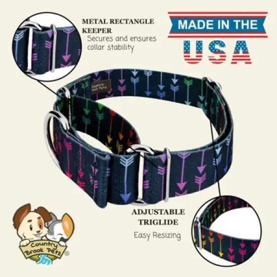 Country Brook Petz HossFit Jr Wide Martingale Dog Collar - Chevron and Arrows Collection image {7}