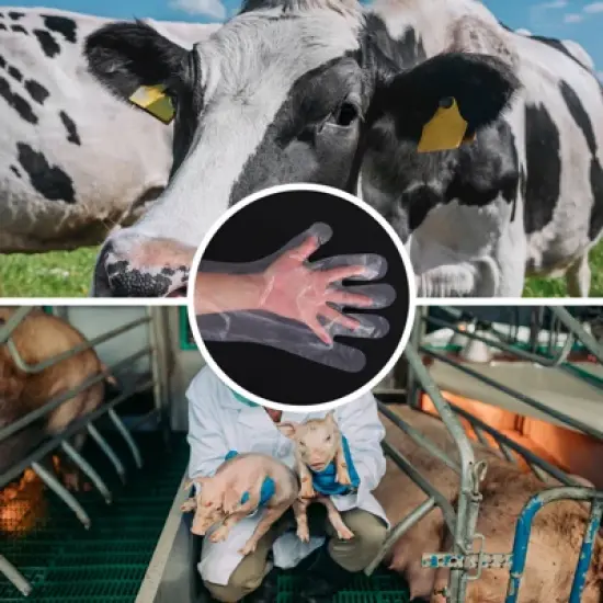 Unique Bargains Wear-resistant Durable Anti-leakage Elastic Extra Long Gloves image {4}