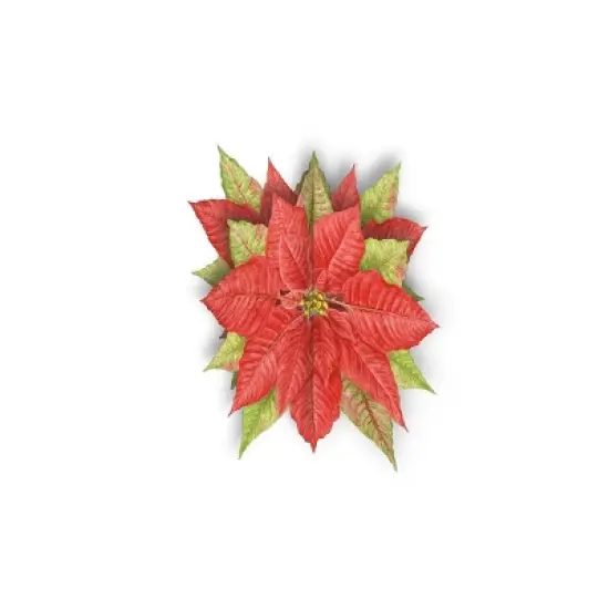 8ct Lang Poinsettia Boxed Holiday Greeting Cards image {1}