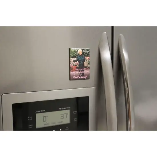 Ata Boy The Golden Girls Sophia Any Indication I Care 2.5 x 3.5 Inch Magnet image {2}