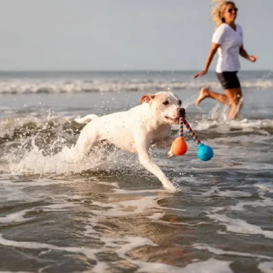 GURU 17.5" Squeaking Dog Rope Toy image {4}