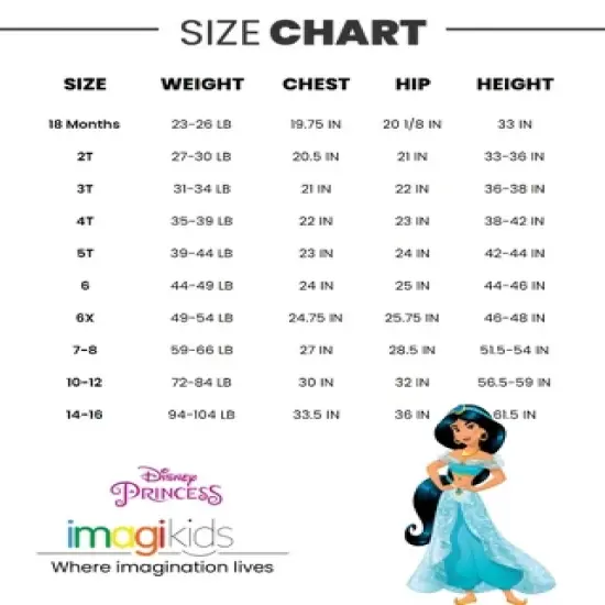 Disney Princess Belle Ariel Cinderella 4 Pack T-Shirts Infant to Big Kid image {6}