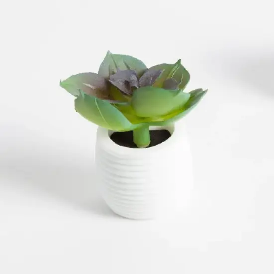 U Brands 3ct Succulent Plant Magnets image {3}