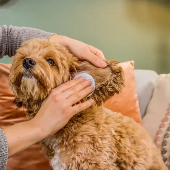 Natural Dog Company Skin Soother Dog Wipes - 50ct image {2}