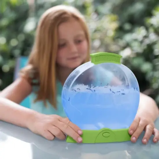 Educational Insights GeoSafari Day 'N' Night Ant Factory image {2}