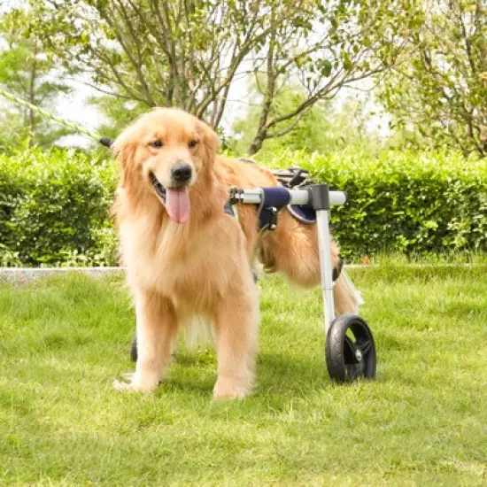VEVOR 2 Wheels Dog Wheelchair for Back Legs, Pet Wheelchair Lightweight & Adjustable Assisting in Healing,  Dog Cart/Wheelchair ,(M) image {1}