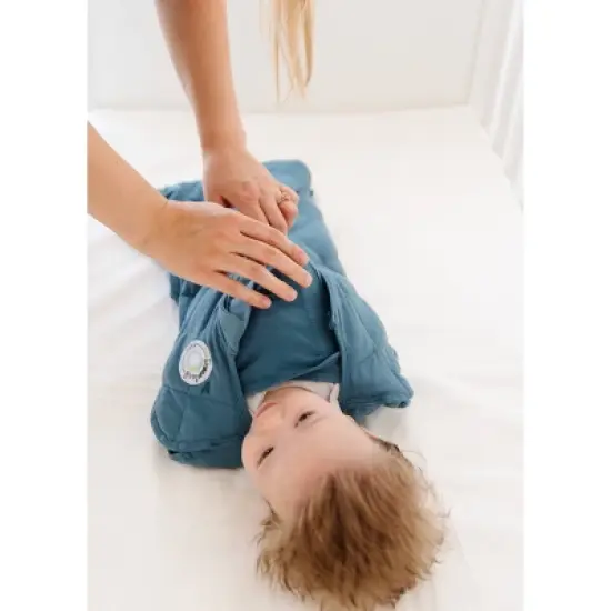 Dreamland Baby Weighted Swaddle Wrap - 0-6 Months image {4}