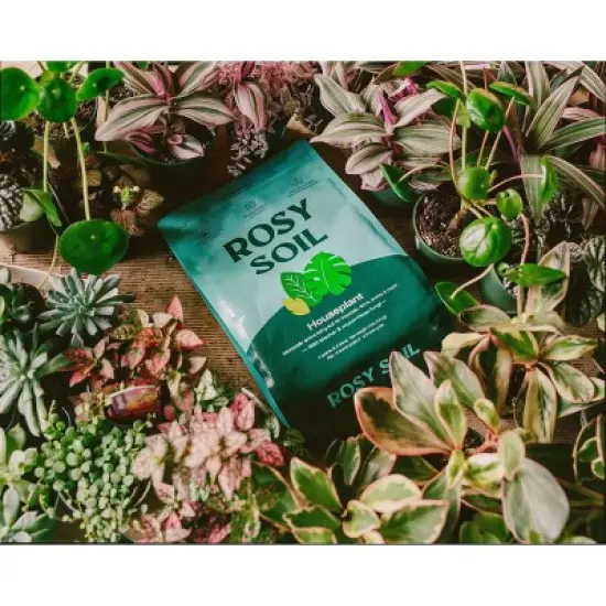Rosy Soil Potting Soil image {8}